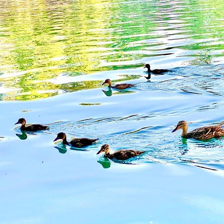 Villa Grace Bihać Dış mekan fotoğraf